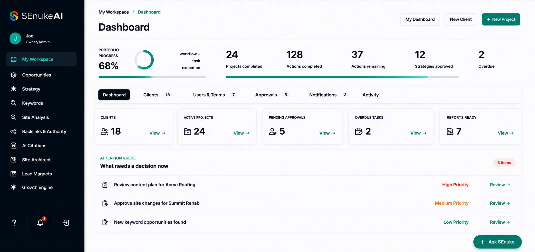 SEnuke AI dashboard: portfolio progress, projects, approvals and the attention queue showing what needs a decision now